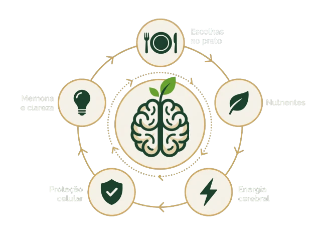 Método do prato à memória — escolhas no prato, nutrientes, energia cerebral, proteção celular, memória e clareza.